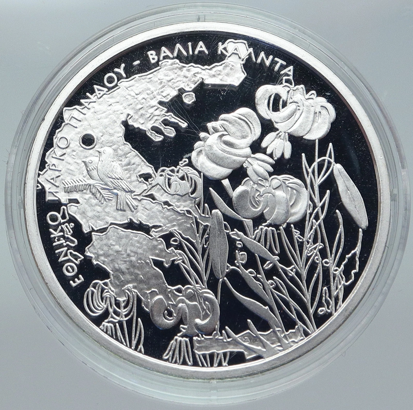 Greece 10 Euros - Valia Kalda 2007 Silver