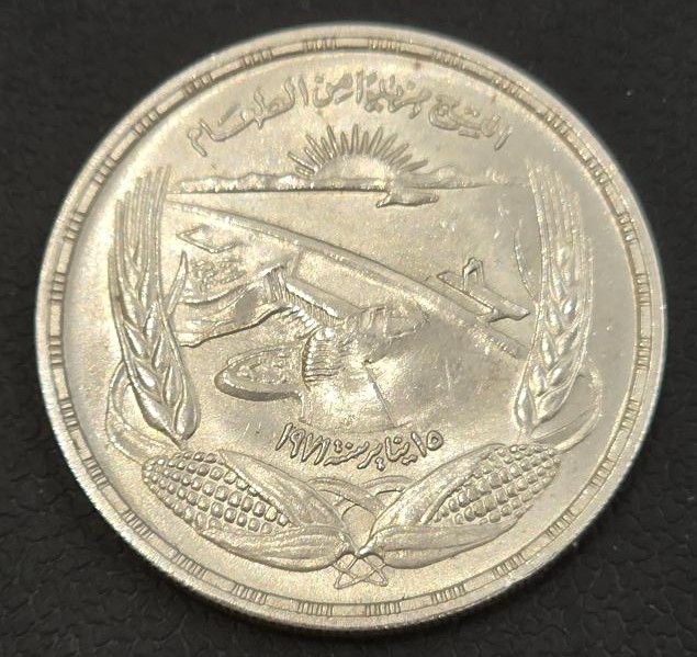 Egypt 1 Pound 1973 (F.A.O)