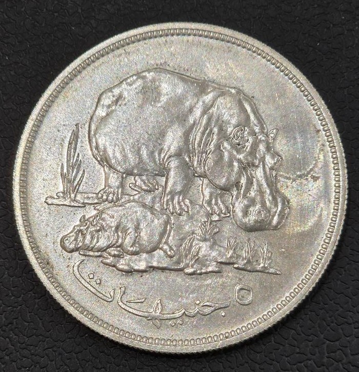 Sudan 5 Pounds 1976 (Conservation) Silver